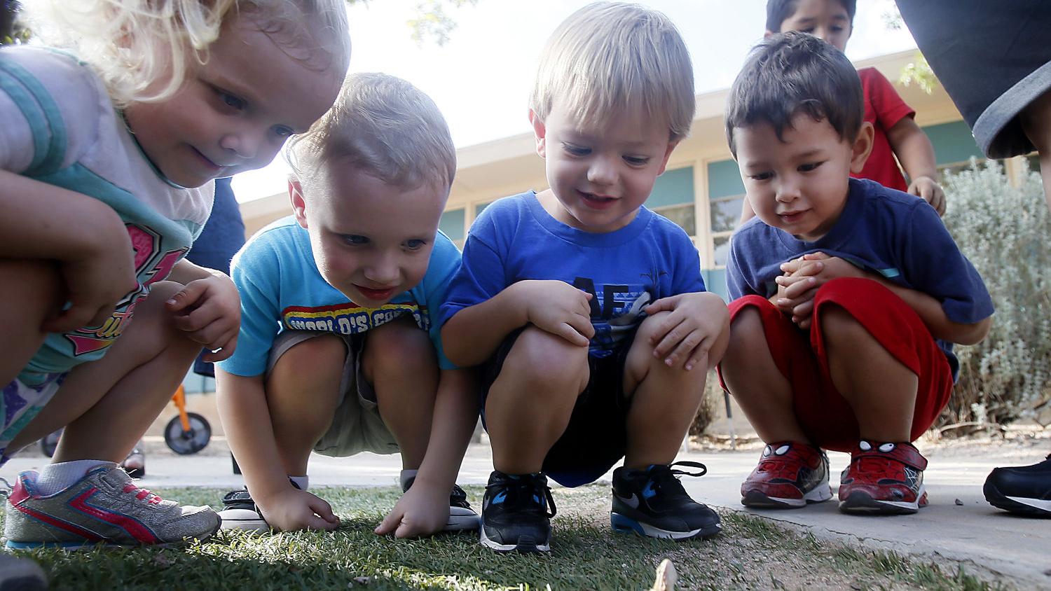 Victoria Steele: Tucson's children deserve a high-quality early education